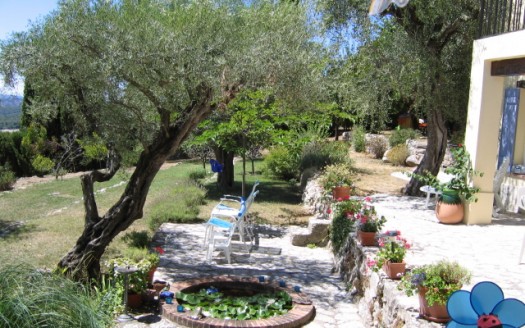 Les Oliviers Tourrettes sur Loup Lovely holiday home