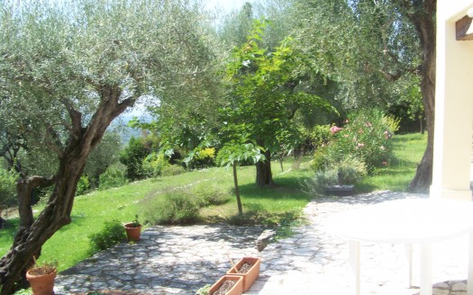 Les Oliviers Tourrettes sur Loup Lovely holiday home