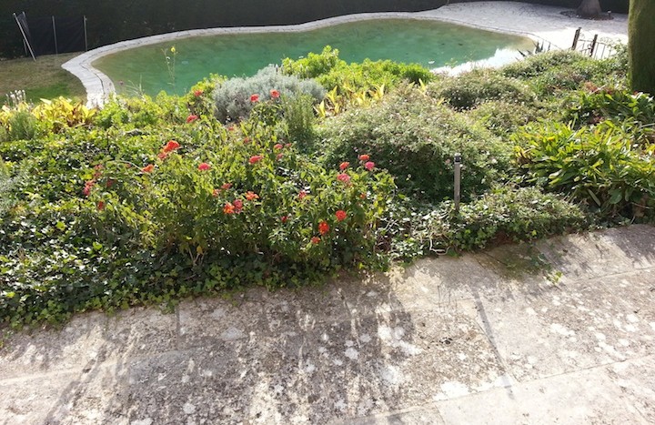 04 Villa Provence Tourrettes-sur-Loup garden