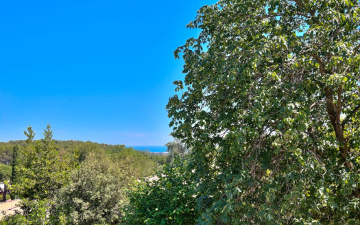 Amazing large property large garden pool St Paul de Vence