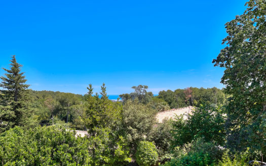 Amazing large property large garden pool St Paul de Vence
